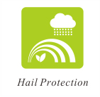 hail-protection البرد الحماية