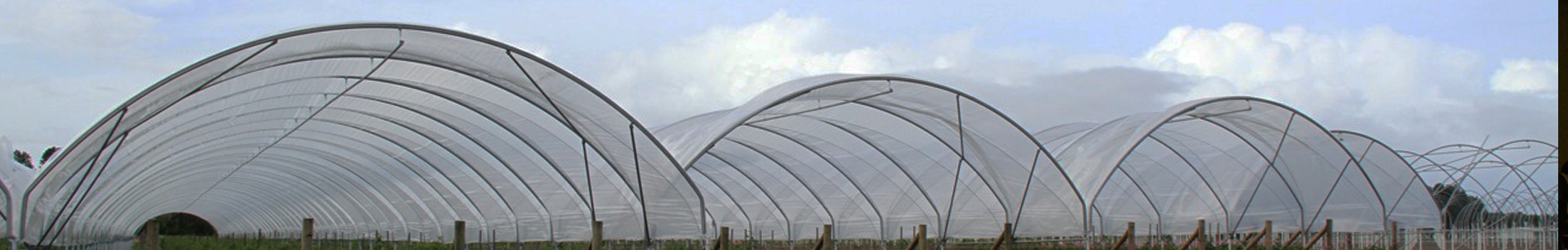 Agrow high tunnel poly hoop house (ACS)