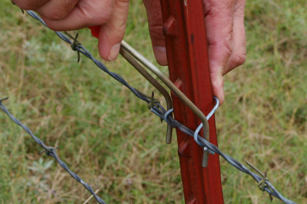 تي بوست كليب