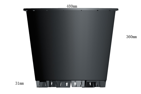 عنبية وعاء Size.jpg