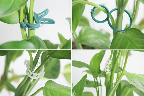 Clips Grafting Clips.jpg