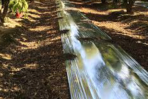 الأفلام العاكسة 300x200.jpg