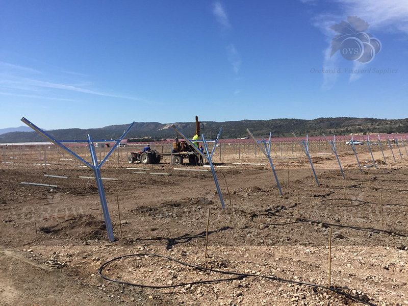 Estructura para Vi&ntilde;edos Espa&ntilde;a