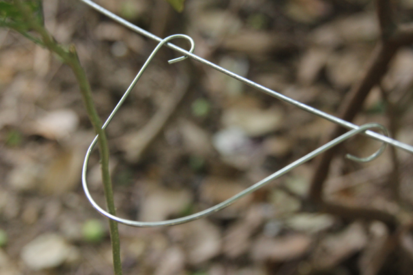 مقطع لخط عمودي Post.jpg