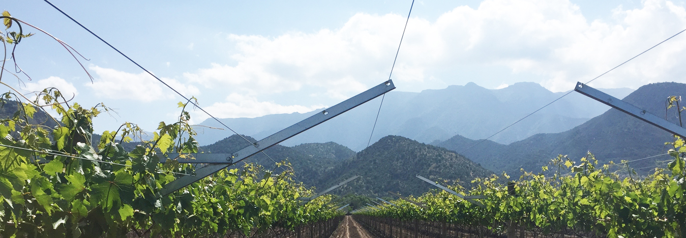 AGROW, a name born to serve Agricultural structures