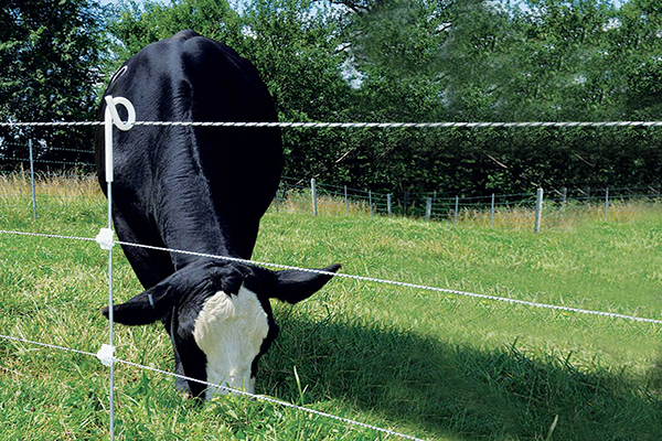 الماشية جديلة السياج post.jpg