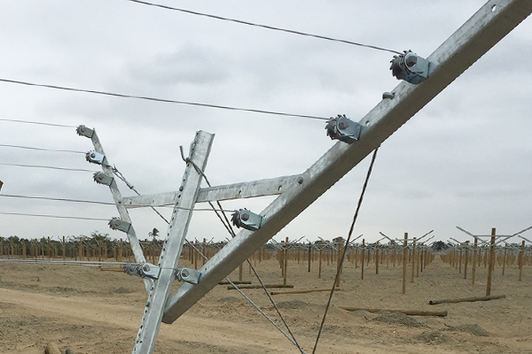 فتح الجملونات نظام تعريشة نهاية آخر سلك مصفاة